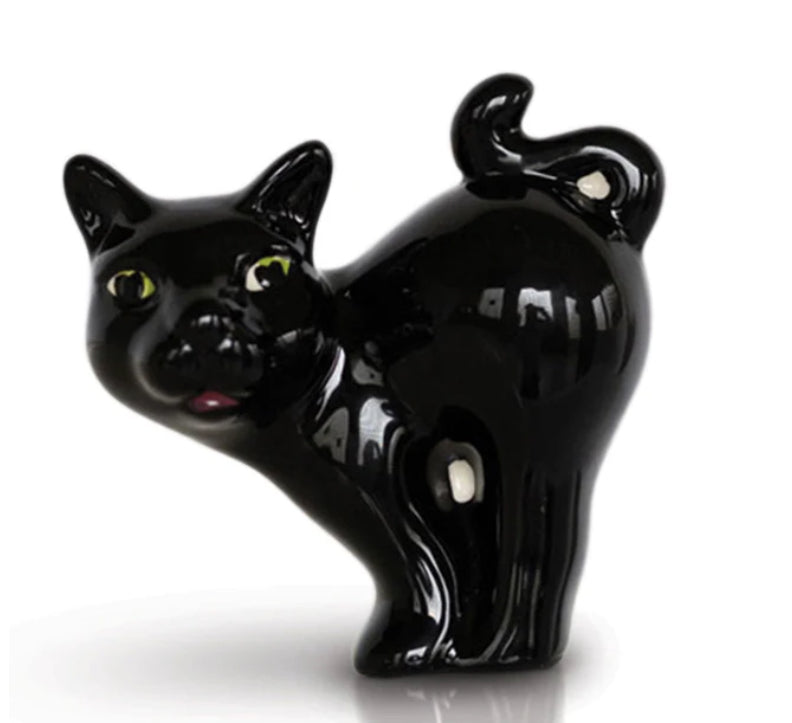 Scaredy Cat
