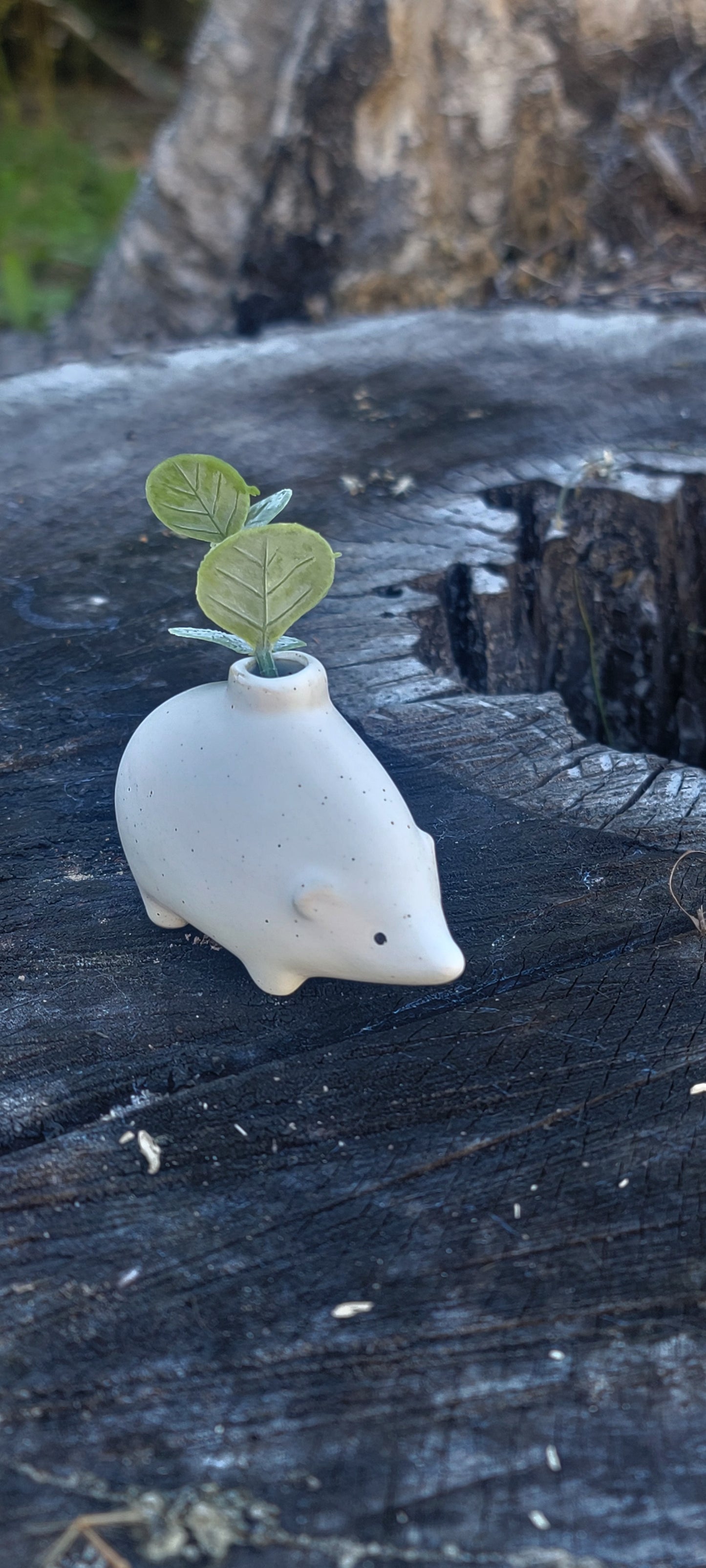 Mini Vase