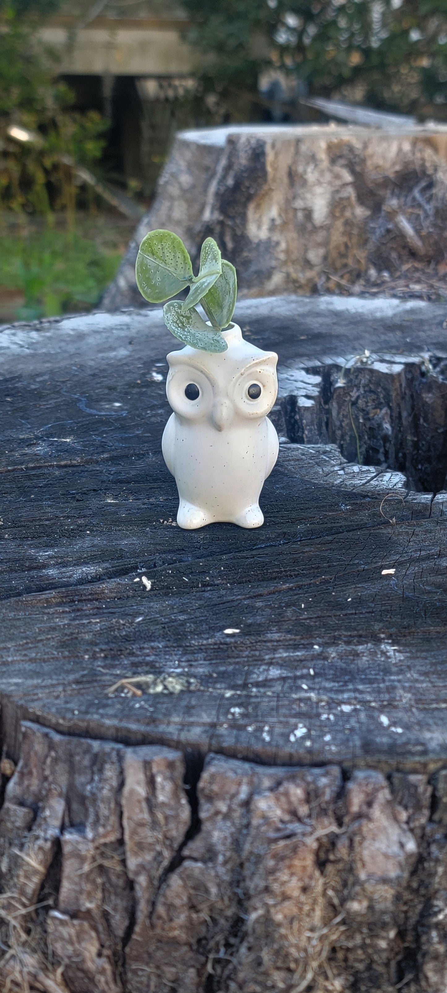 Mini Vase